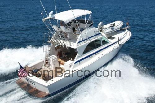 Bertram 38 ficha tecnica 